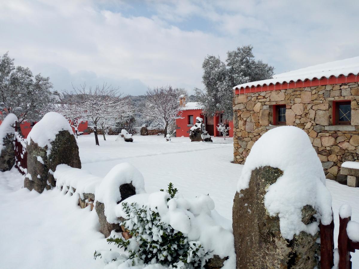 Villa Turismo Rurale L'Agliuledda à Sant'Antonio di Gallura Extérieur photo